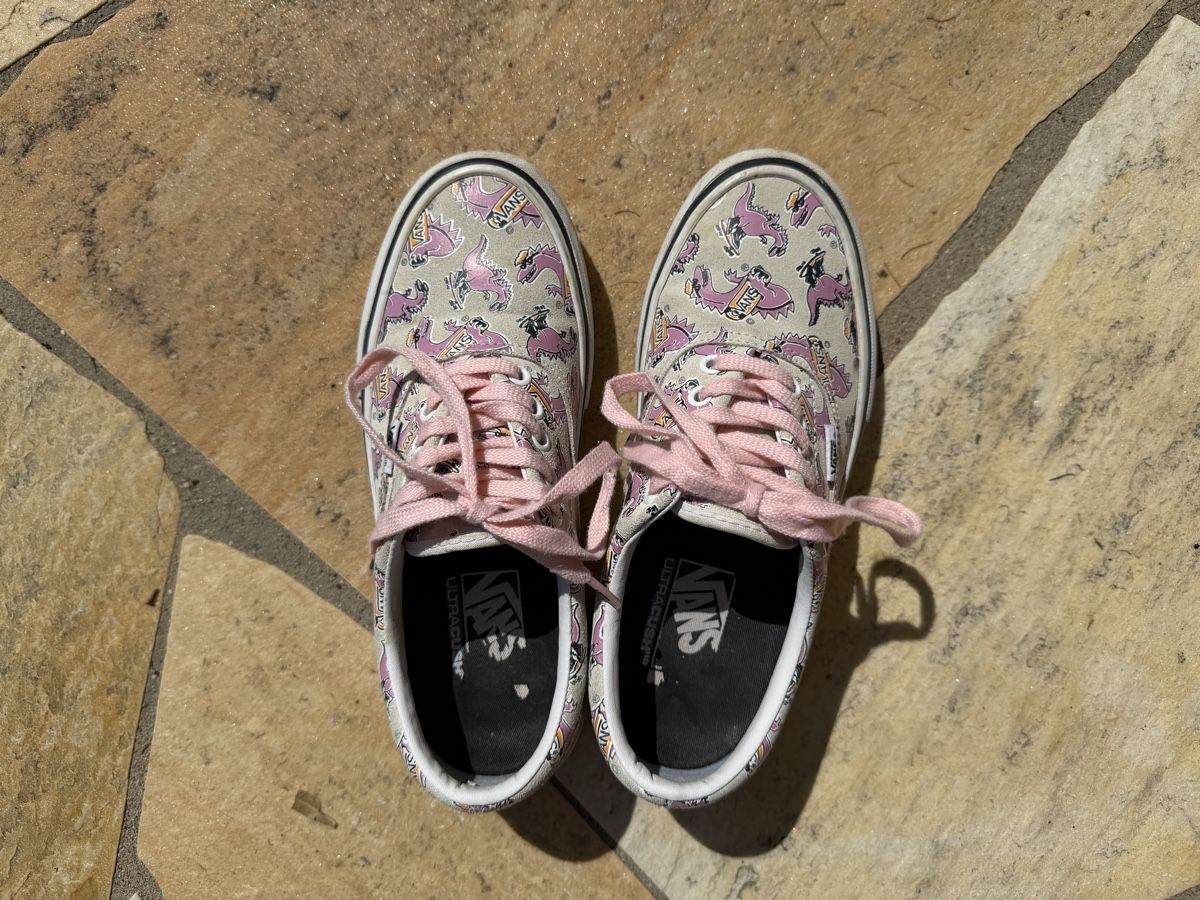Vans Herrenschuhe: Vans 38,5 gamme pro cuir daim – Gebraucht aus Founex von Hyrienne 2