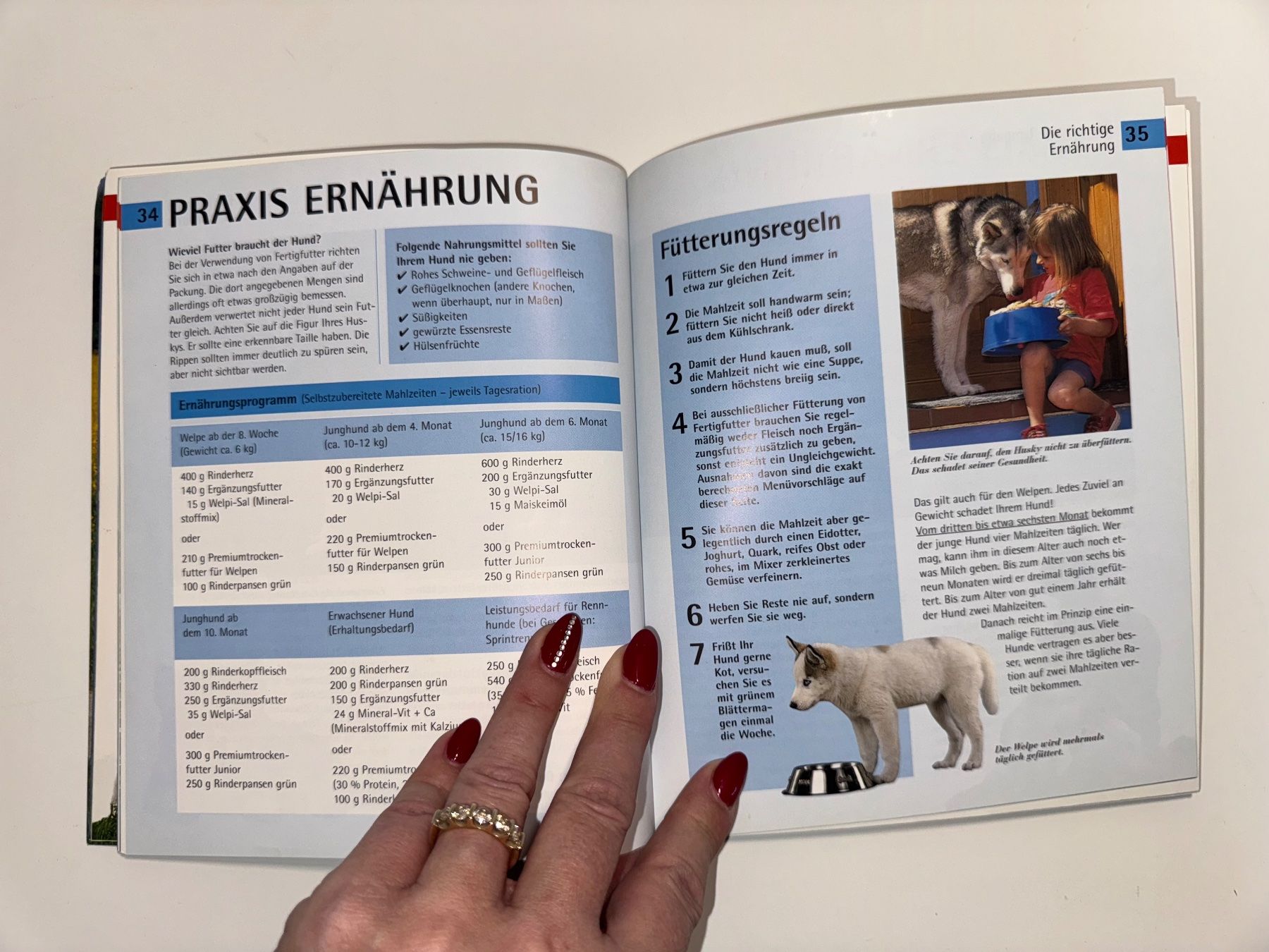 Bücher: BUCH: Husky – Gebraucht aus Grosswangen von Second_hand_paradise 3