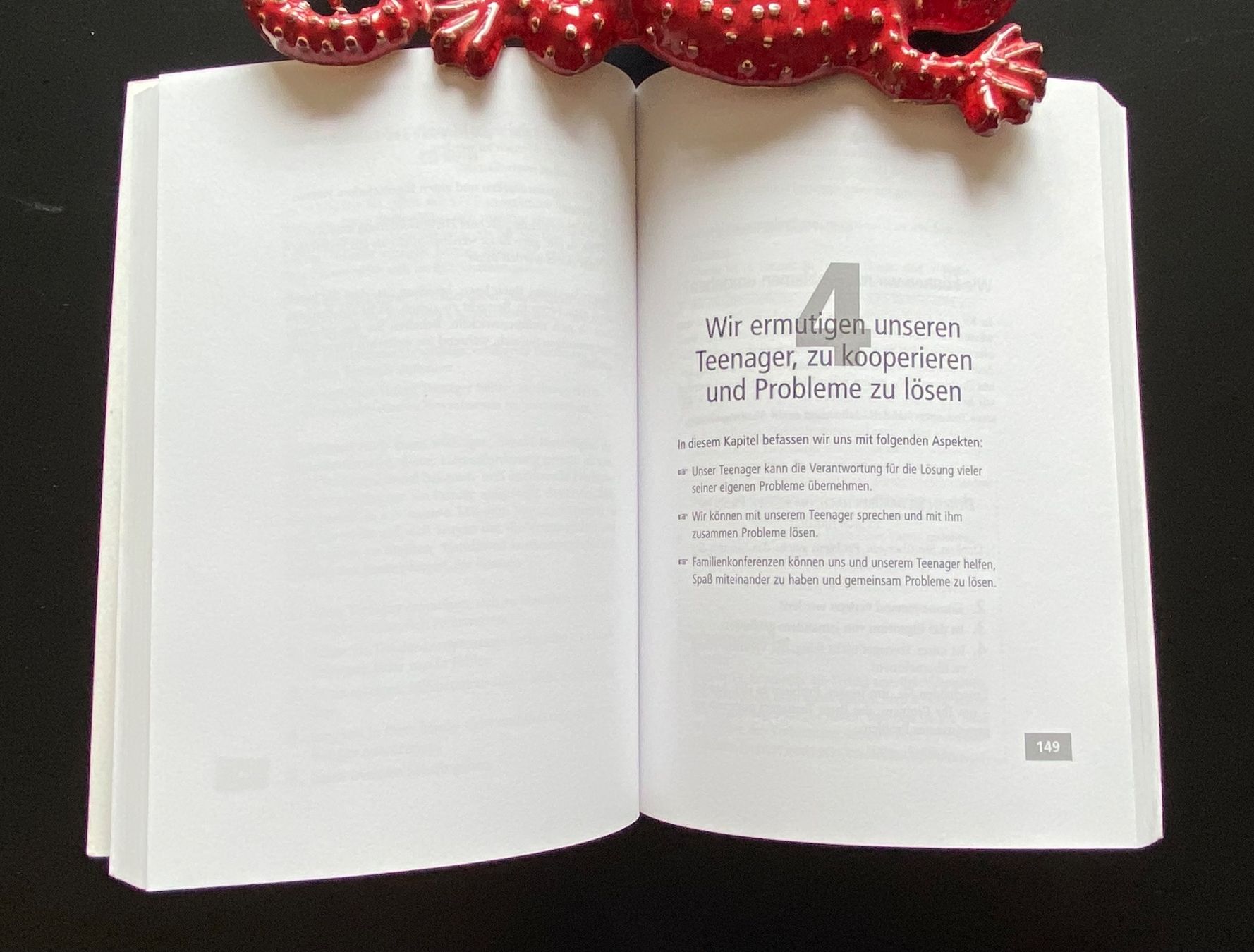 Libri: Das Elternbuch / Leben mit Teenagern – Usato da Nussbaumen AG venduto da schuba2000 4