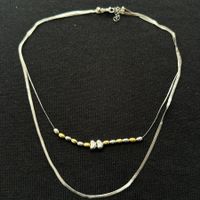 Silberne und goldene Edelstahl Doppelte Halskette
