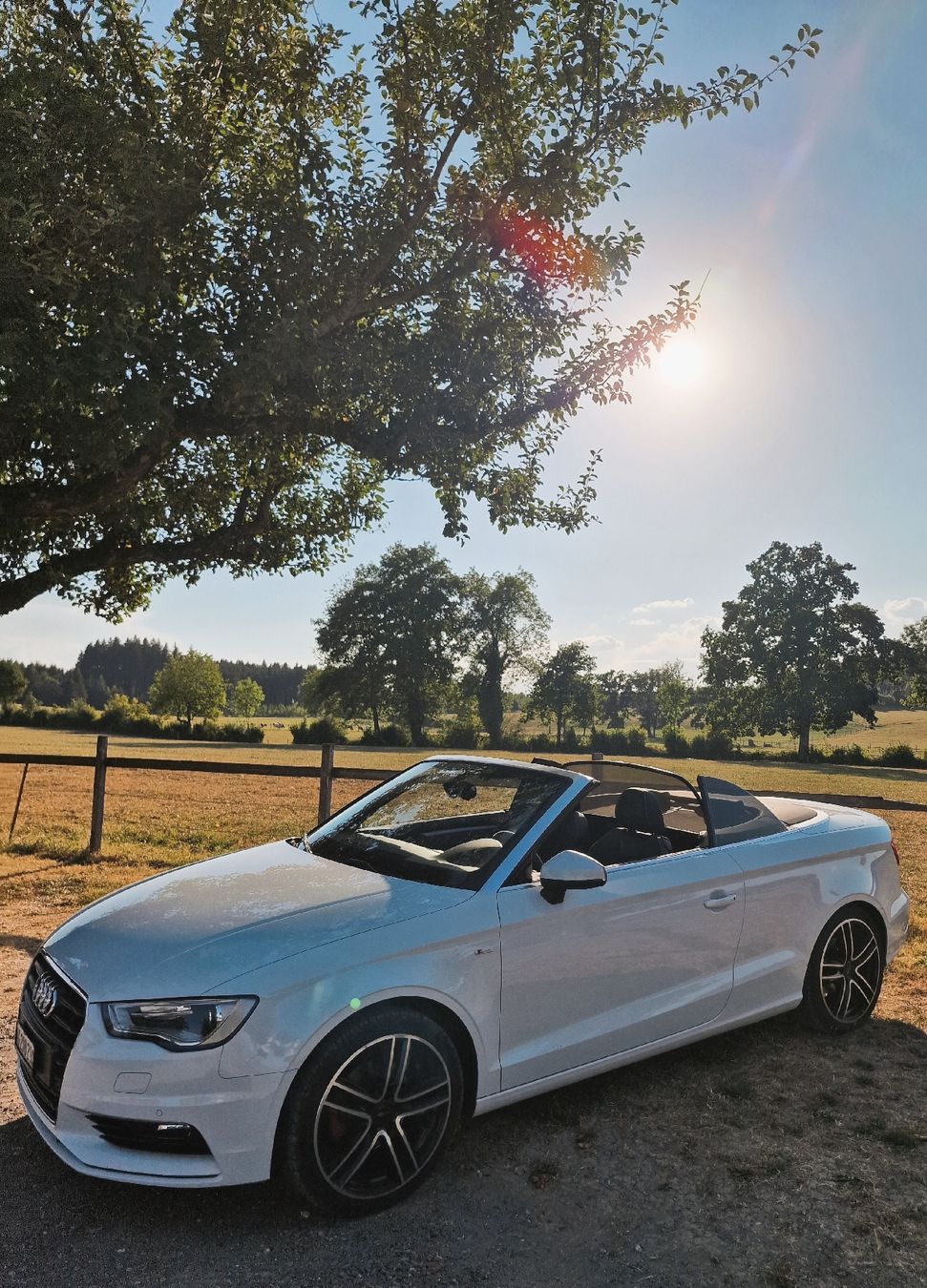Audi Autos: Audi A3 Cabriolet 1.4 TFSI 2014 – Gebraucht aus Bremgarten AG von LAKE95 1