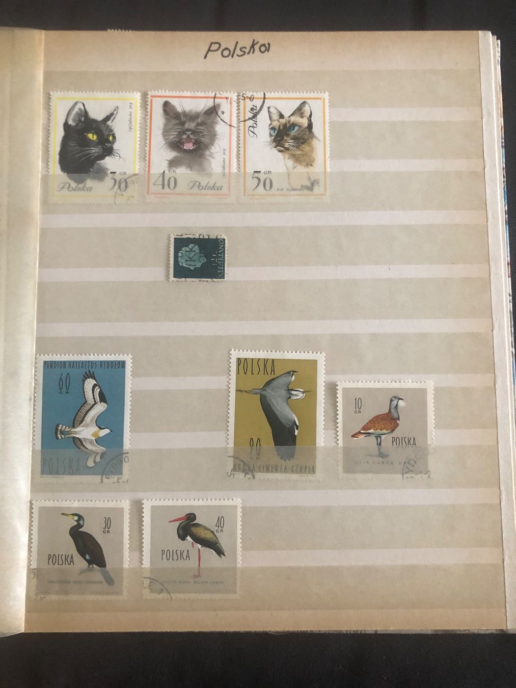 Tutti i francobolli: Grosse Briefmarkensammlung Album – Usato da Schinznach Dorf venduto da Beazam 6