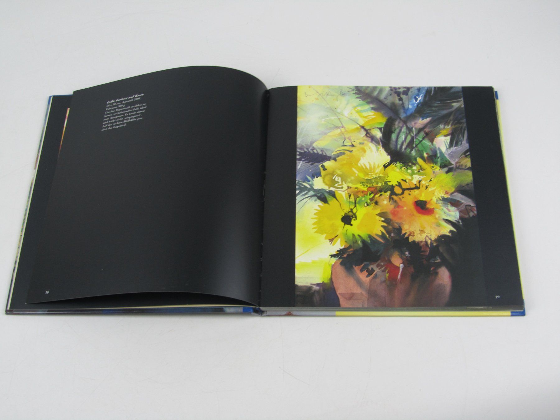 Libri: Blumen Aquarelle im Licht - Bernhard Vogel – Usato da Muhen venduto da Restwert_Muhen 3