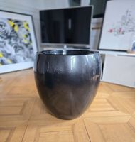 Pflanzentopf Blumentopf Topf Blumen Pflanzen