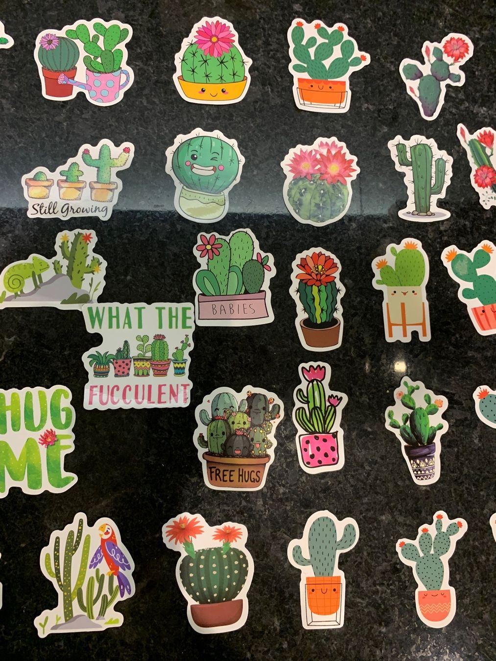 Sticker: Aufkleber, Kaktus, Sticker 50 Stück – Nuovo e nell'imballaggio originale da Rorschach venduto da lobosch1 2