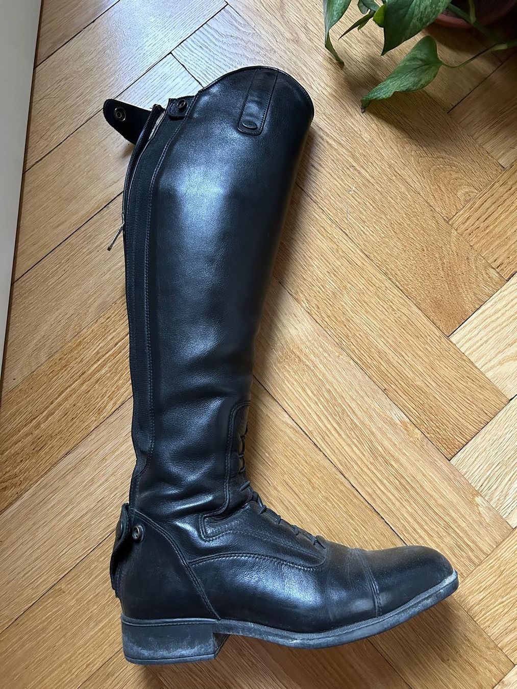 Felix Bühler Damenschuhe: Bottes équitation taille 39 – Gebraucht aus Lausanne von cadeha
