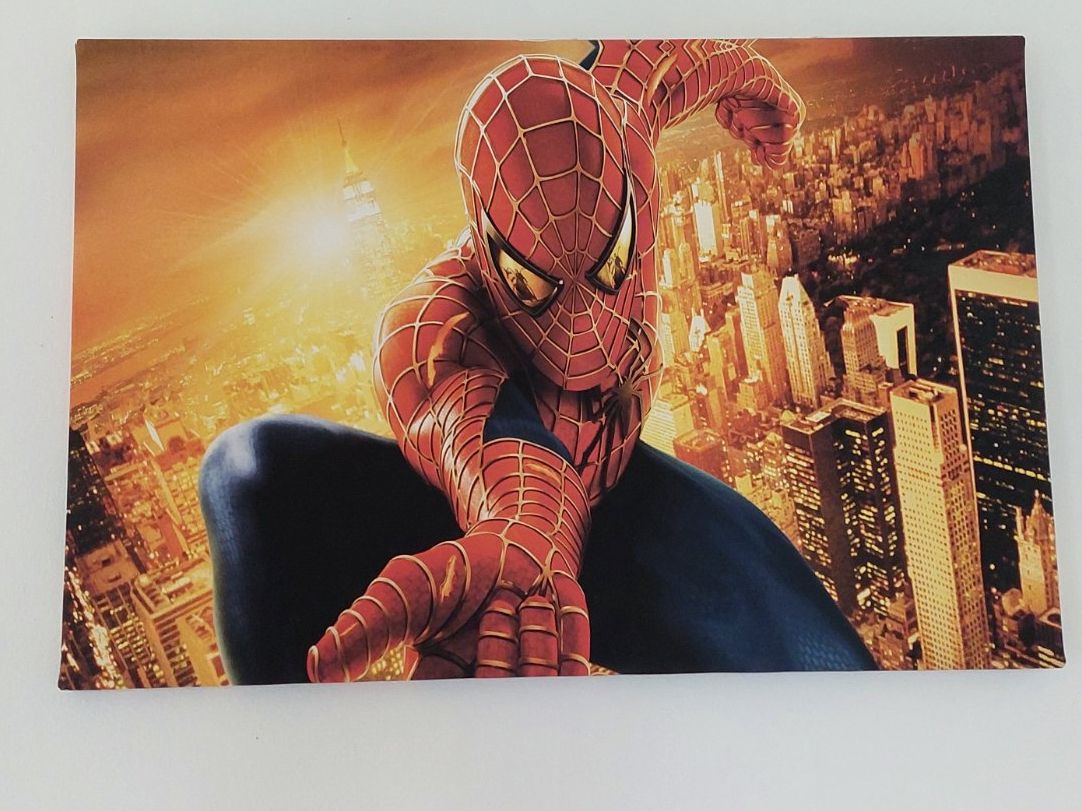 Poster & Bilder: Spider-Man-Leinwandbild – Gebraucht aus Kriens von vre_d692