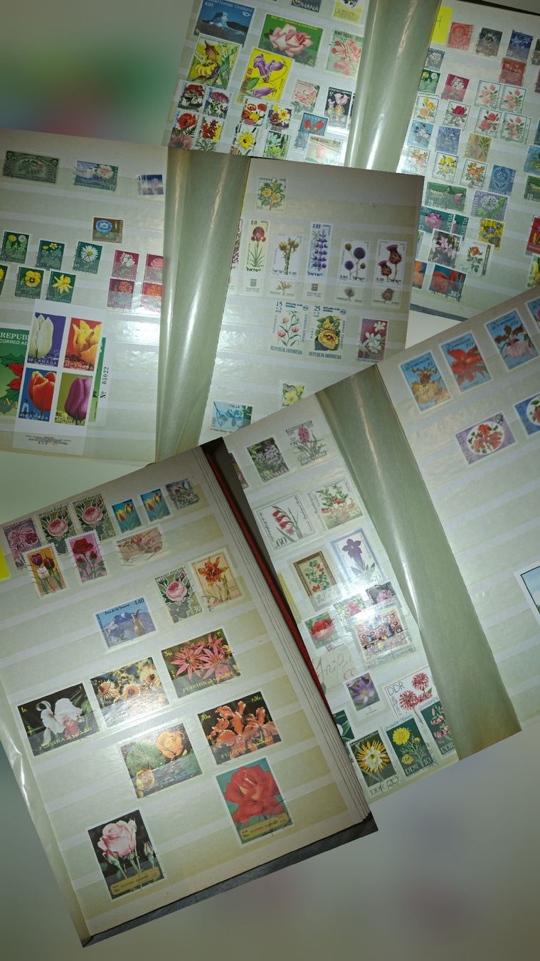 Alle Briefmarken: Sammlung Briefmarken / Bmumenmotive – Gebraucht aus Balgach von SIMEON27 3