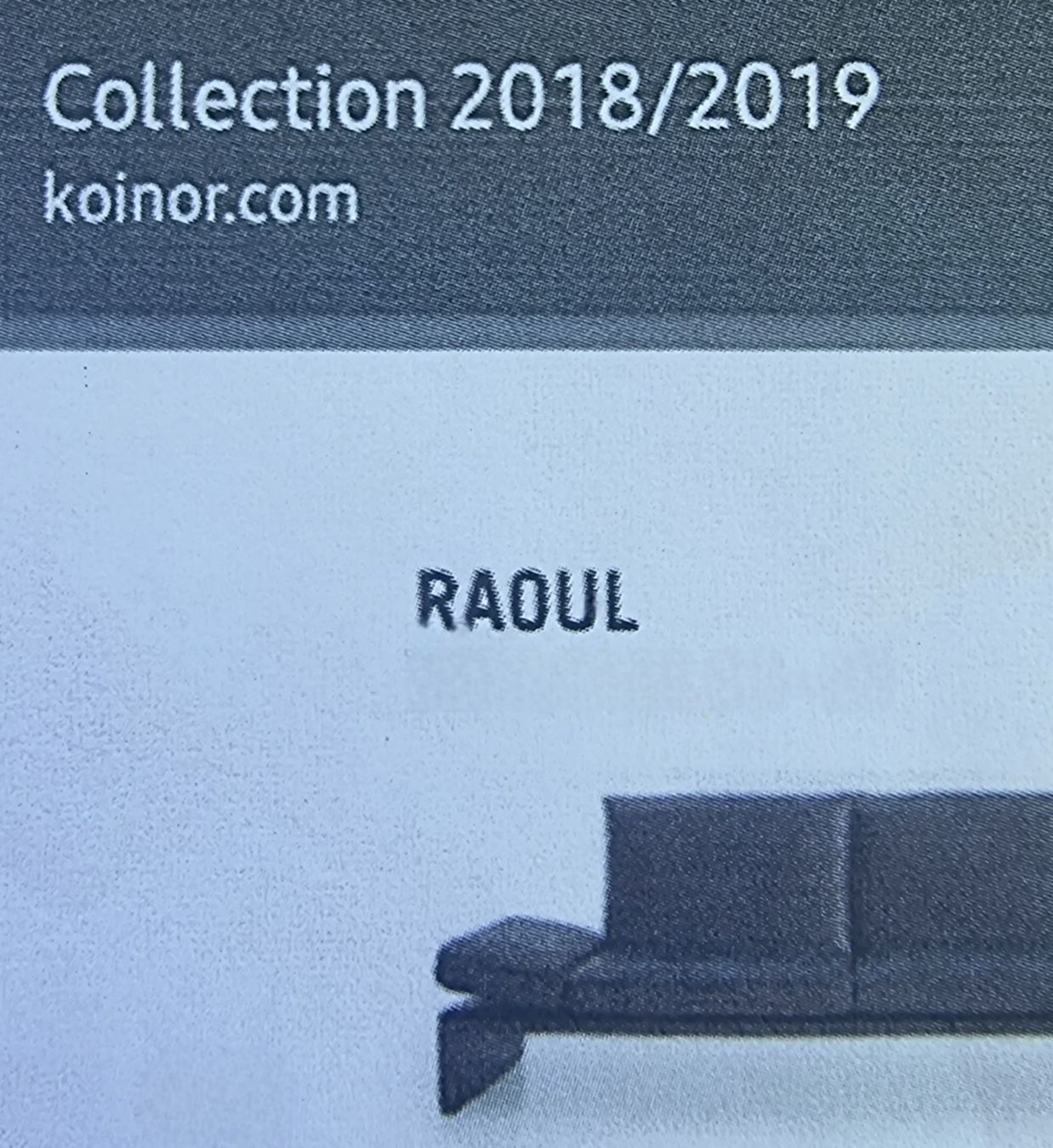 Sofas: KOINOR ROUL Wohnlandschaft – D'occasion à Bottighofen par buzz02 7