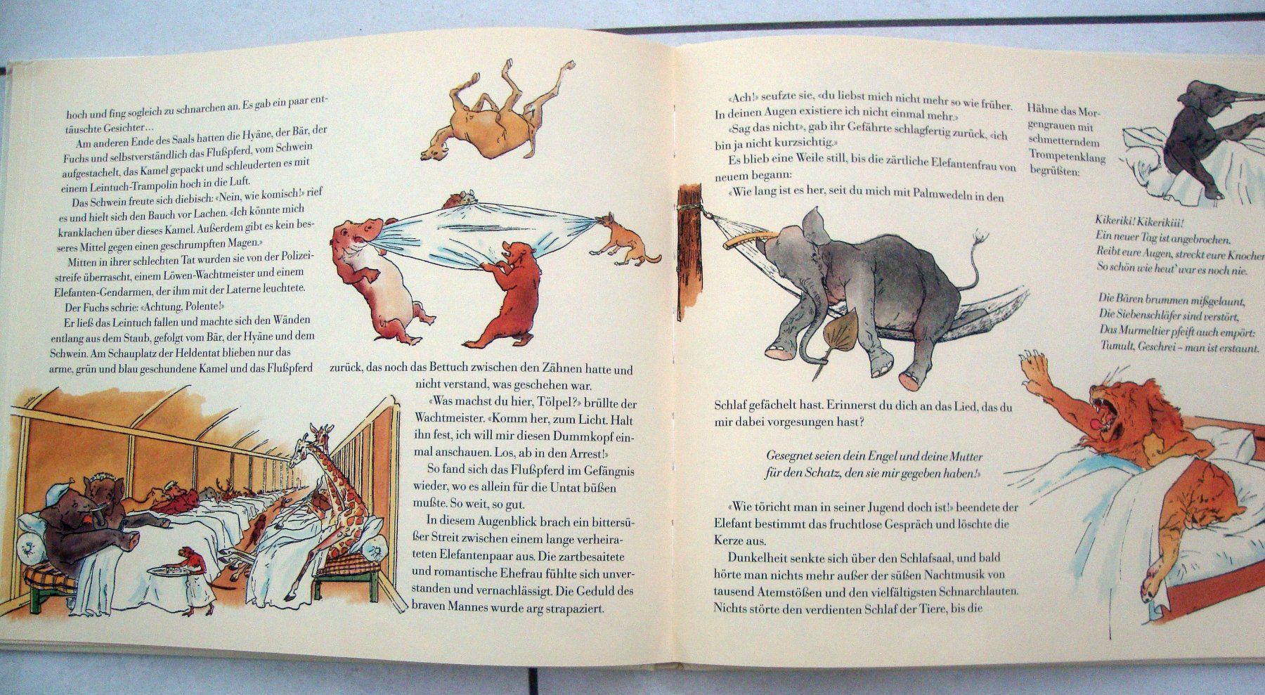 Bücher: Die Arche Noah – Gebraucht aus Wetzikon ZH von strubeli024 3