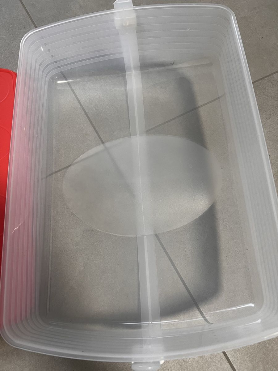 Tupperware Contenitori & Simili: Tupperware Tortenbehälter rot – Usato da Escholzmatt venduto da mel_58wh 1