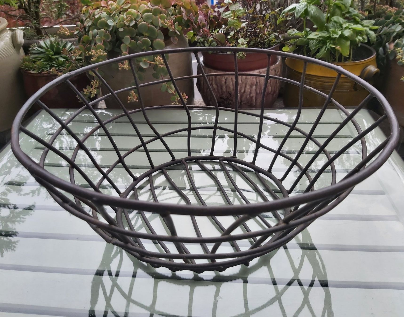 Globus Sonstiges für Haushalt & Wohnen: Drahtkorb, Obstkorb, Deko, Shabby Chic, Vintage, ... – Neu (gemäss Beschreibung) aus Bern von aronari