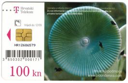 Telefonkarte Kroatien 100 Kuna