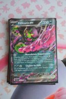 Felicanis ex