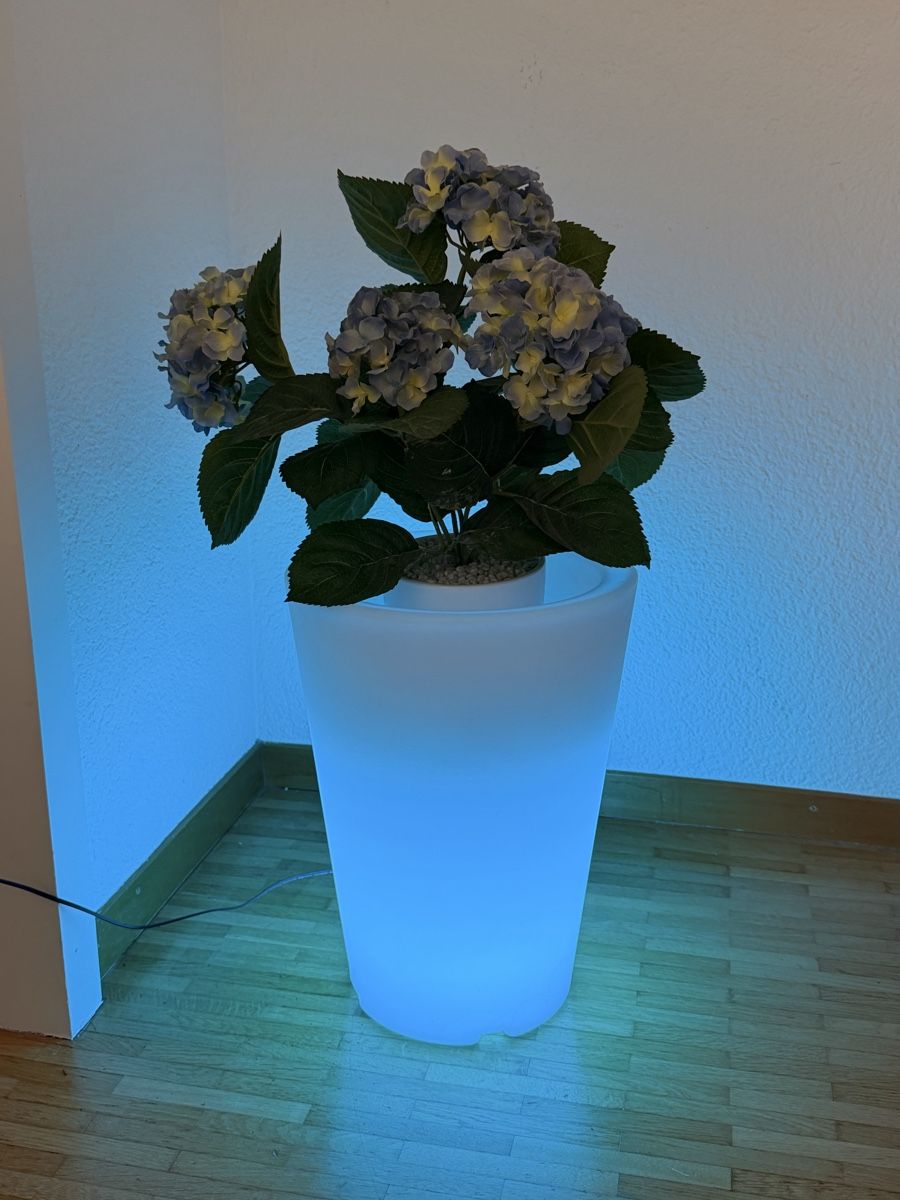 Piante & sementi: Blumentopf beleuchtet – Usato da Laupen BE venduto da Lisafurby 1