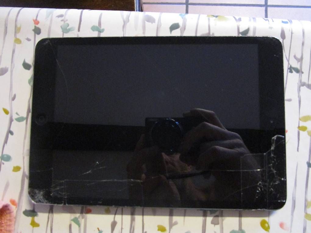 Tablet PC: Ipad Mini (1. Generation)  32GB  Modell A1432 – Gebraucht aus Giubiasco von Dmuelli 3