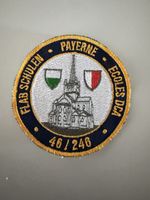 Badge Flab Schulen 46/246 (ohne Klett)