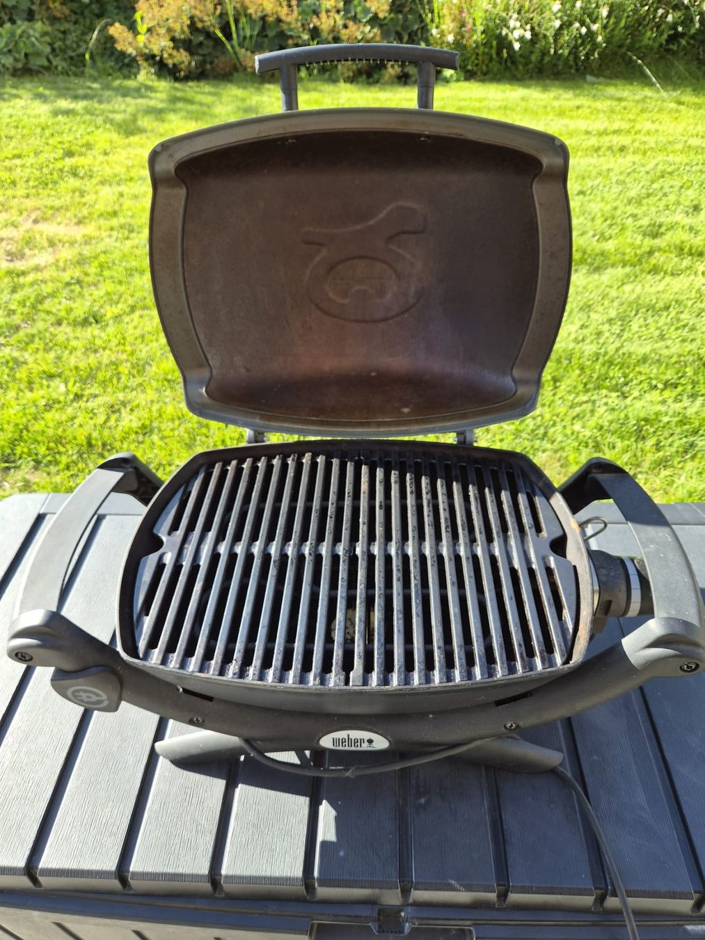 Weber Griglie: Elektrogrill Weber – Usato da Muri AG venduto da Heraklit0 2