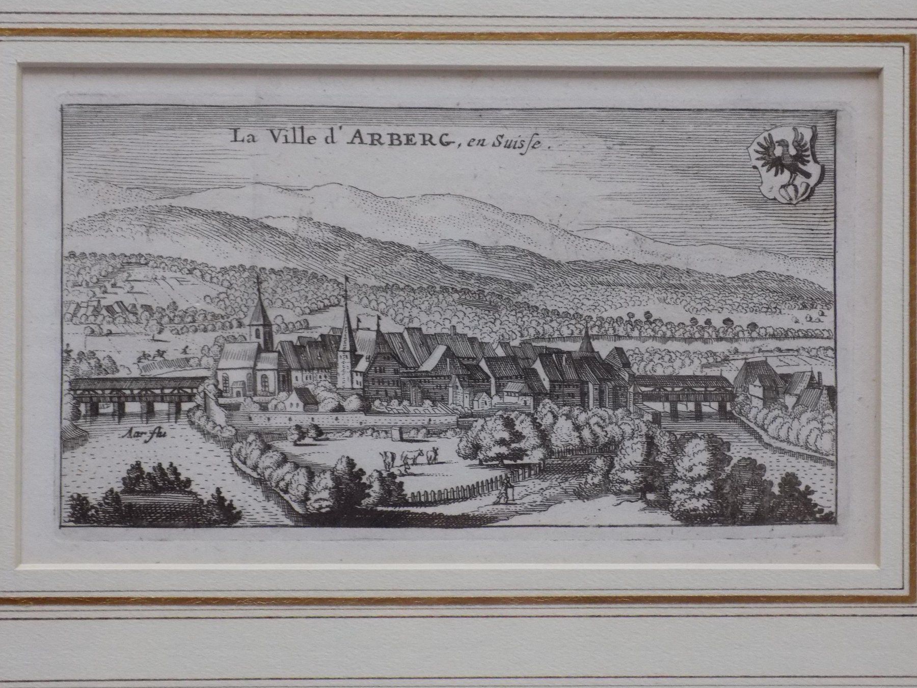 Incisioni: Aarberg von Scheuchzer – Usato da Risch venduto da Rischli15 1