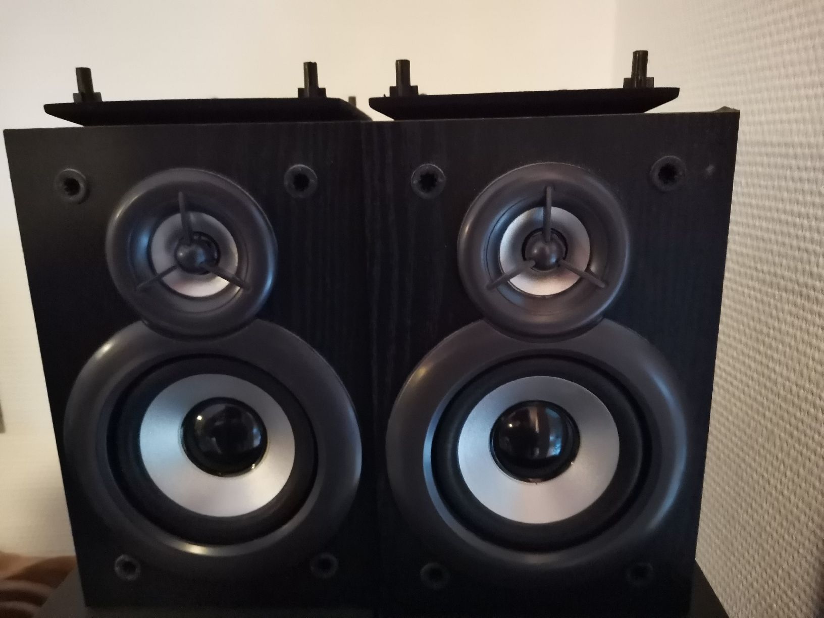 Lautsprecher: 2 Regal-Bassreflex Lautsprecher-Boxen – Gebraucht aus Bottighofen von andax 1