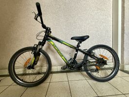 Specialized Kinder-Mountainbike Hotrock 20 Zoll Top Zustand