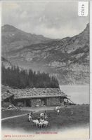 Oeschinensee mit Ziegen