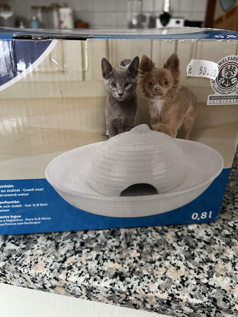 Stagni & Fontane ornamentali: Katzenbrunnen – Nuovo e nell'imballaggio originale da Hinwil venduto da ghost017 1