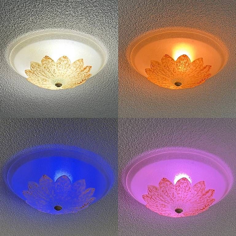 Kronleuchter & Deckenlampen: Rustikale Decken-Wand-Lampe 33cm mit 2 WIZ Lampen – Gebraucht aus Volketswil von T__J 1