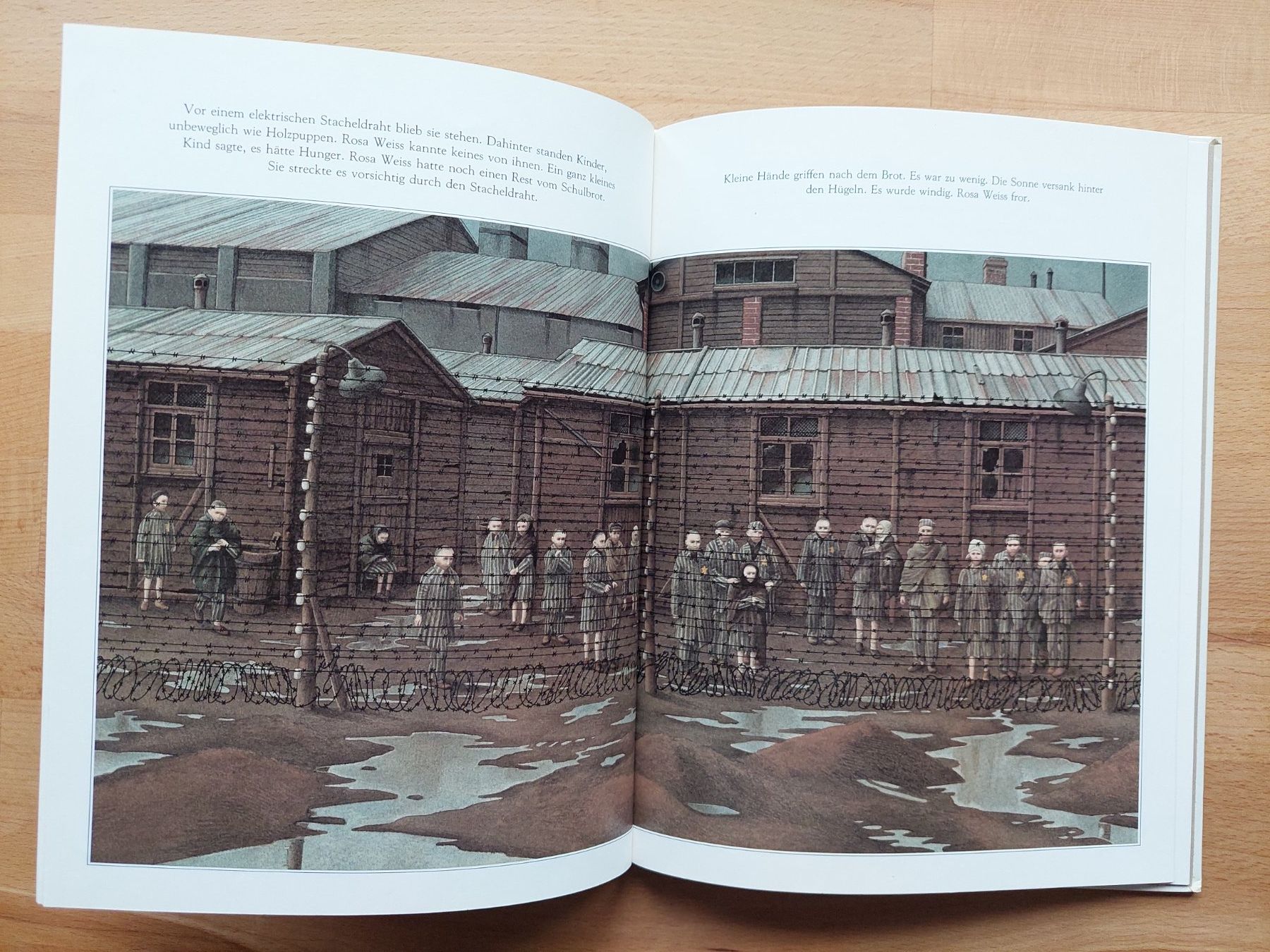 Libri: Rosa Weiss - Roberto Innocenti – Usato da Obfelden venduto da Foto_Bild_Kunst_Buch 6