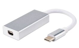 Adaptateur ipad pro macbook Type C à Mini Display port