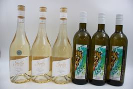 3xGally Blanc + 3xJohannisberg 2024-Weisswein (26060561Z)