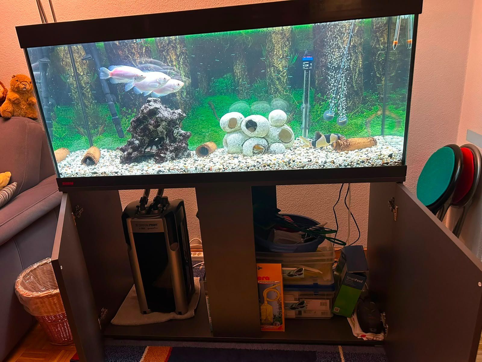 Eheim Acquari: Aquariumkomination 240 Liter – Usato da Richterswil venduto da phi_m5nf 1