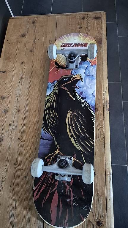 Skateboards: Tony Hawk Skateboard  – Usato da Gerlikon venduto da Mjs1974