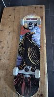 Tony Hawk Skateboard 
