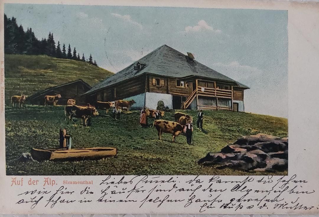 Cartoline postali: SIMMENTHAL - Auf der Alp - 1902 – Usato da Delémont venduto da Domdom1
