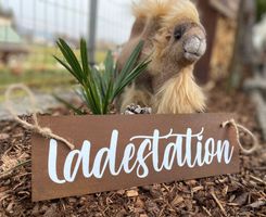 Edelrost Schild „Ladestation“
