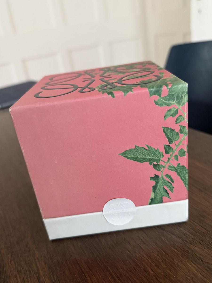 Candele: Loewe tomato leaves scented candle  – Nuovo (secondo la descrizione) da Davos Dorf venduto da gin_8k9d 7