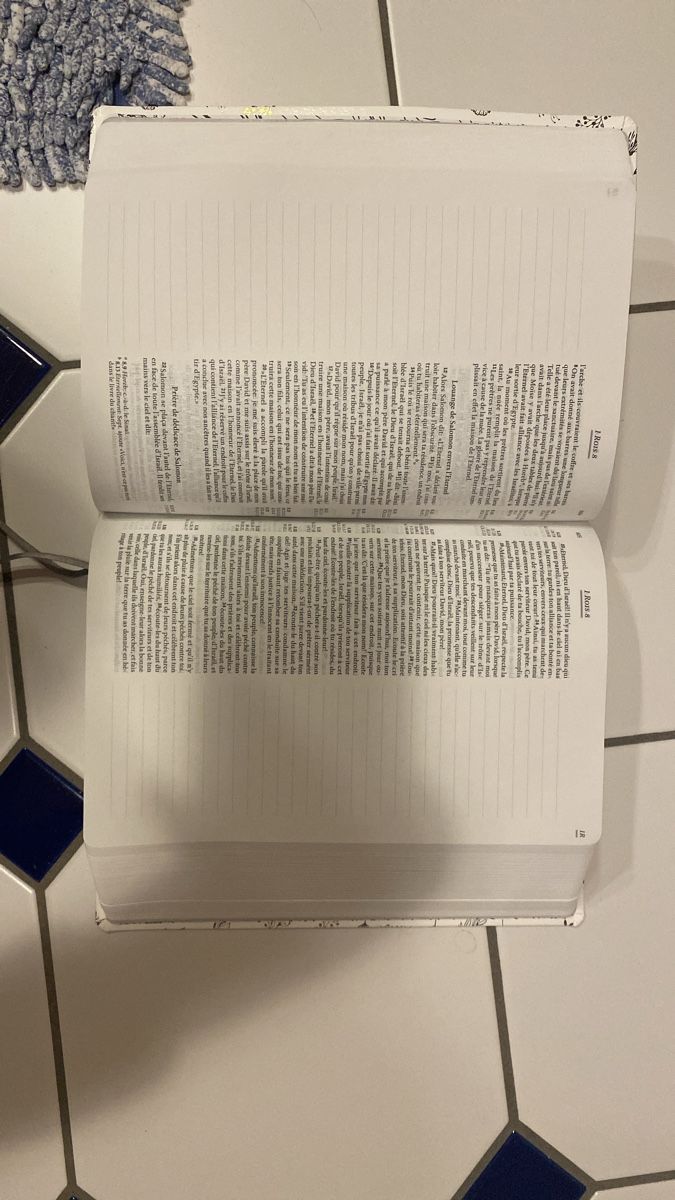 Libri: Bible journal de bord – Nuovo (secondo la descrizione) da Epagny venduto da nie_n5yb 2