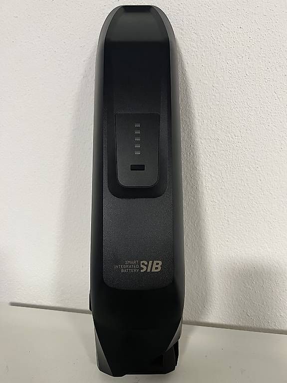 Flyer Akkus: Flyer Akku SIB 20.1Ah/750Wh – Neu (gemäss Beschreibung) aus Derendingen von AABB