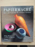 Papiermaché - Ideen & Techniken für kreatives Gestalten