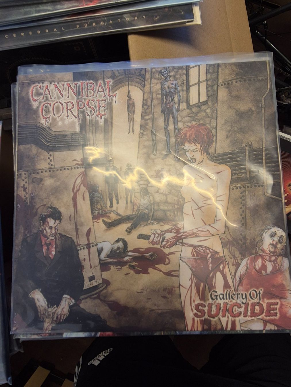 Dischi in vinile: Lot 6 vinyles Cannibal Corpse – Usato da Estavayer-Gibloux venduto da zom_j92z 3