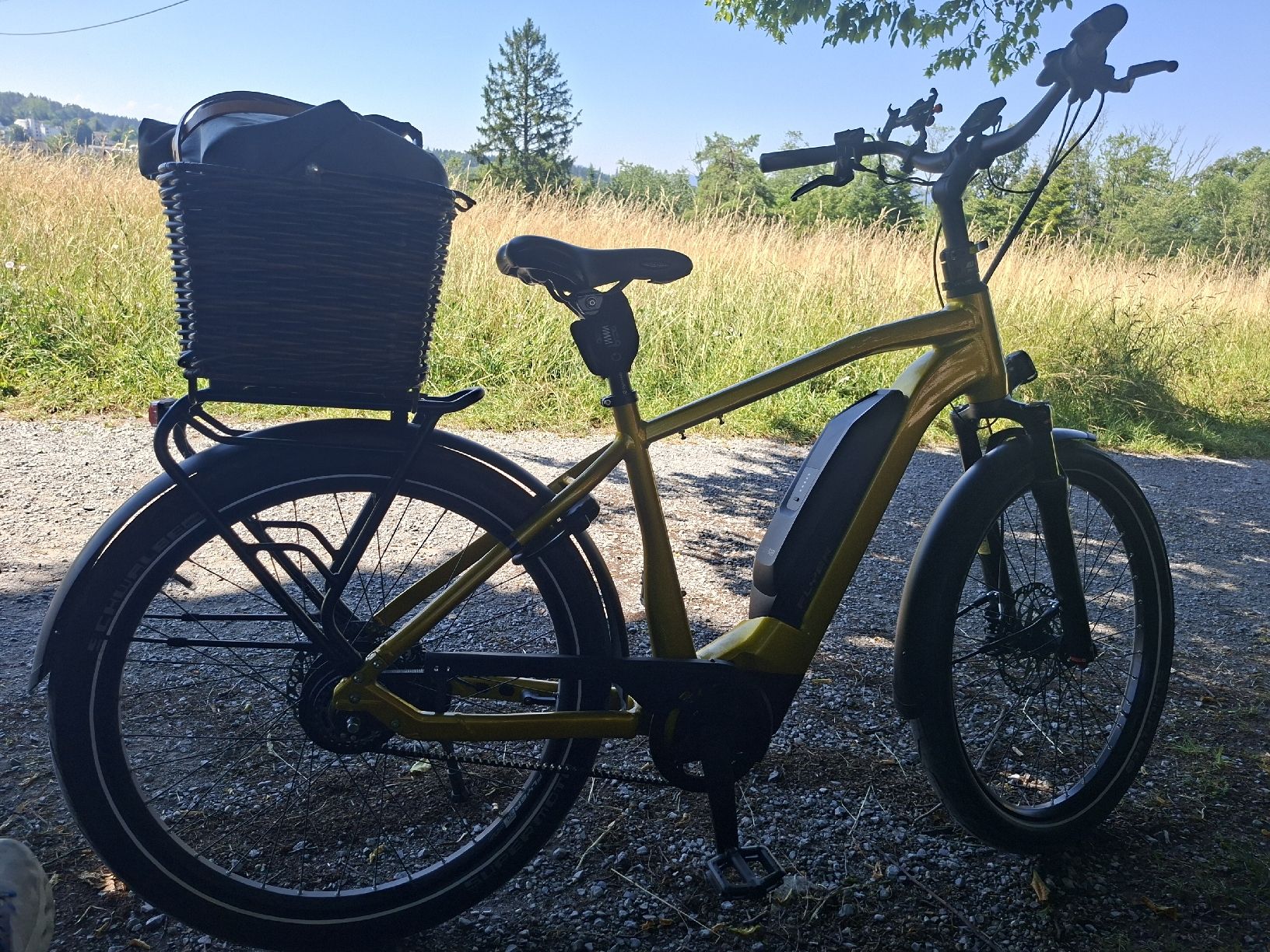 Flyer Velos: Velo flyer très bonne état – Gebraucht aus Zürich von pg2_y9gs 4