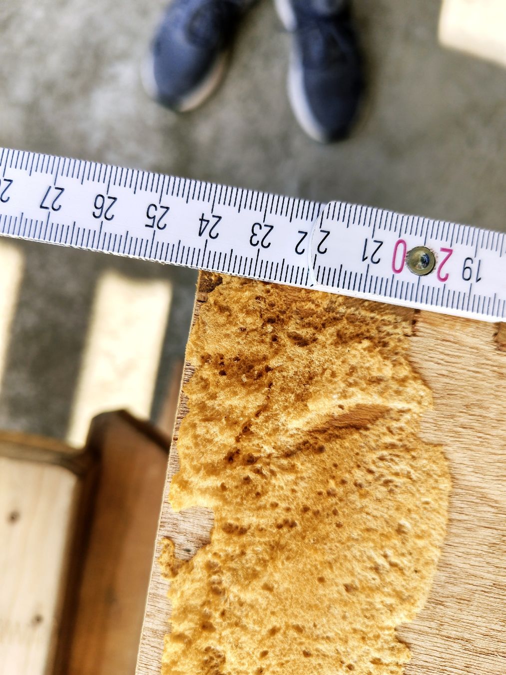 Scale: Estrichleiter Holz Klapptreppe gebraucht – Usato da Neukirch (Egnach) venduto da ers_9m72 6