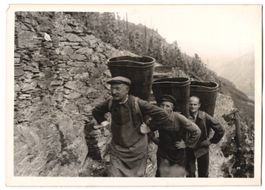 Fotografie Schostal, Weinlese / Weinernt