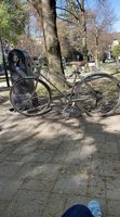 Velo Siech rare
