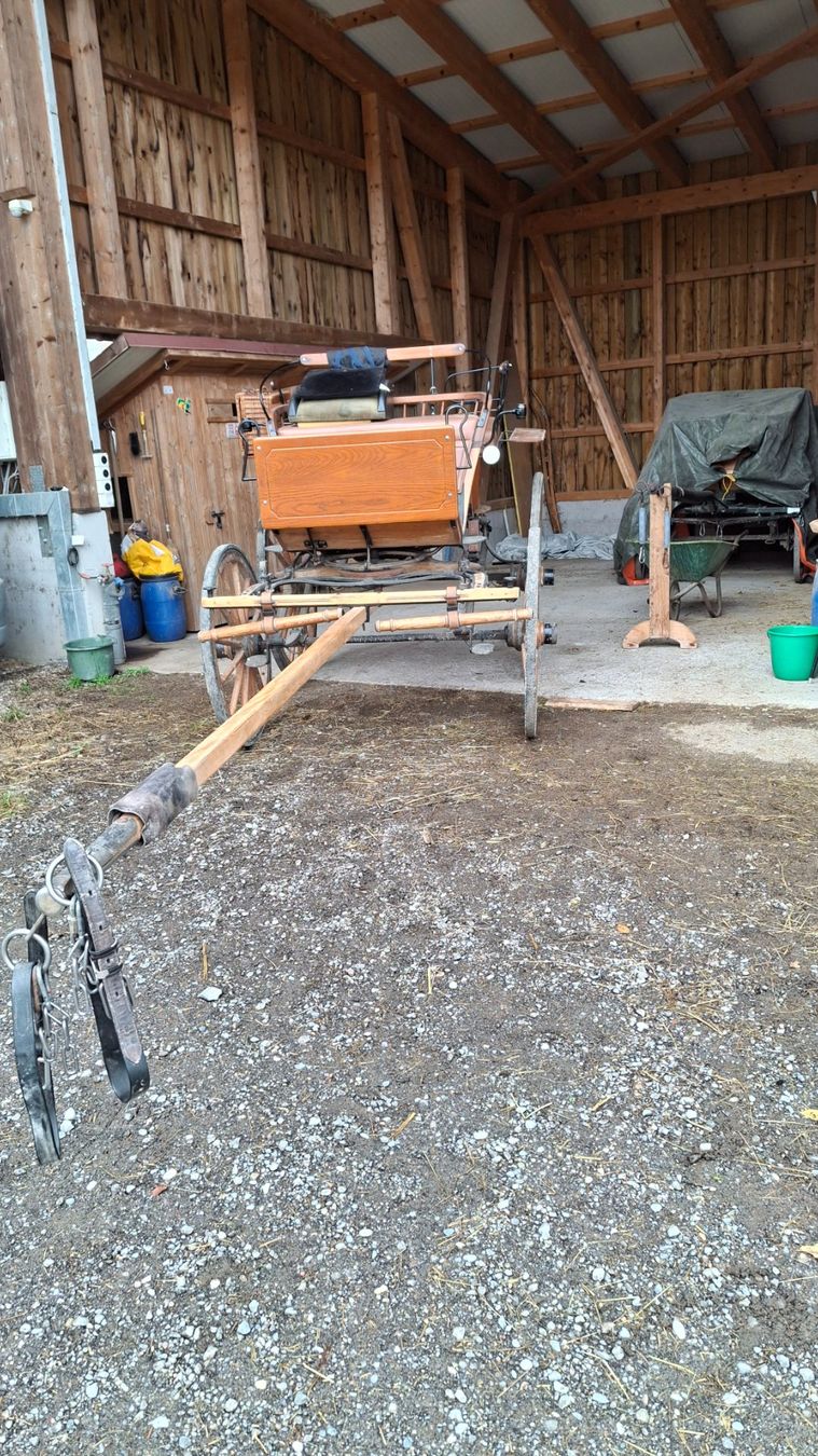 Calèches: Oldtimer Holzbreak – D'occasion à Möriken AG par rotone 1