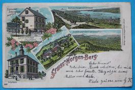 HORGEN - BERG LITHO AK