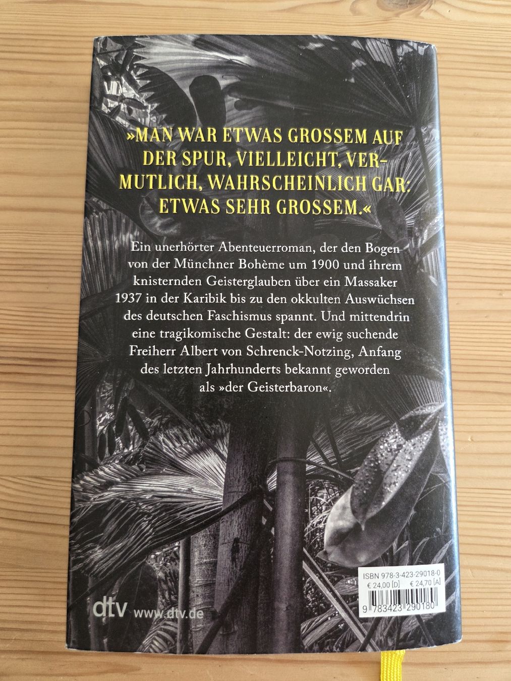 Libri: Die Möglichkeit eines Wunders, Jan Schomburg – Usato da Liestal venduto da ITOlio 1