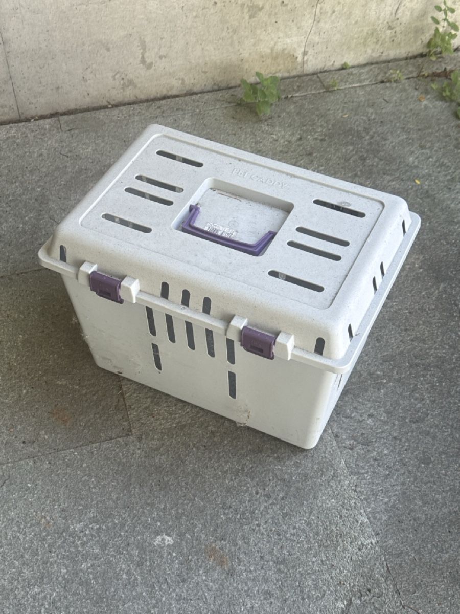 Gabbie, trasporto & Sicurezza: Transport Box Cat Carrier Plastic White Good Condition – Usato da Winterthur venduto da Kevin.Prandini
