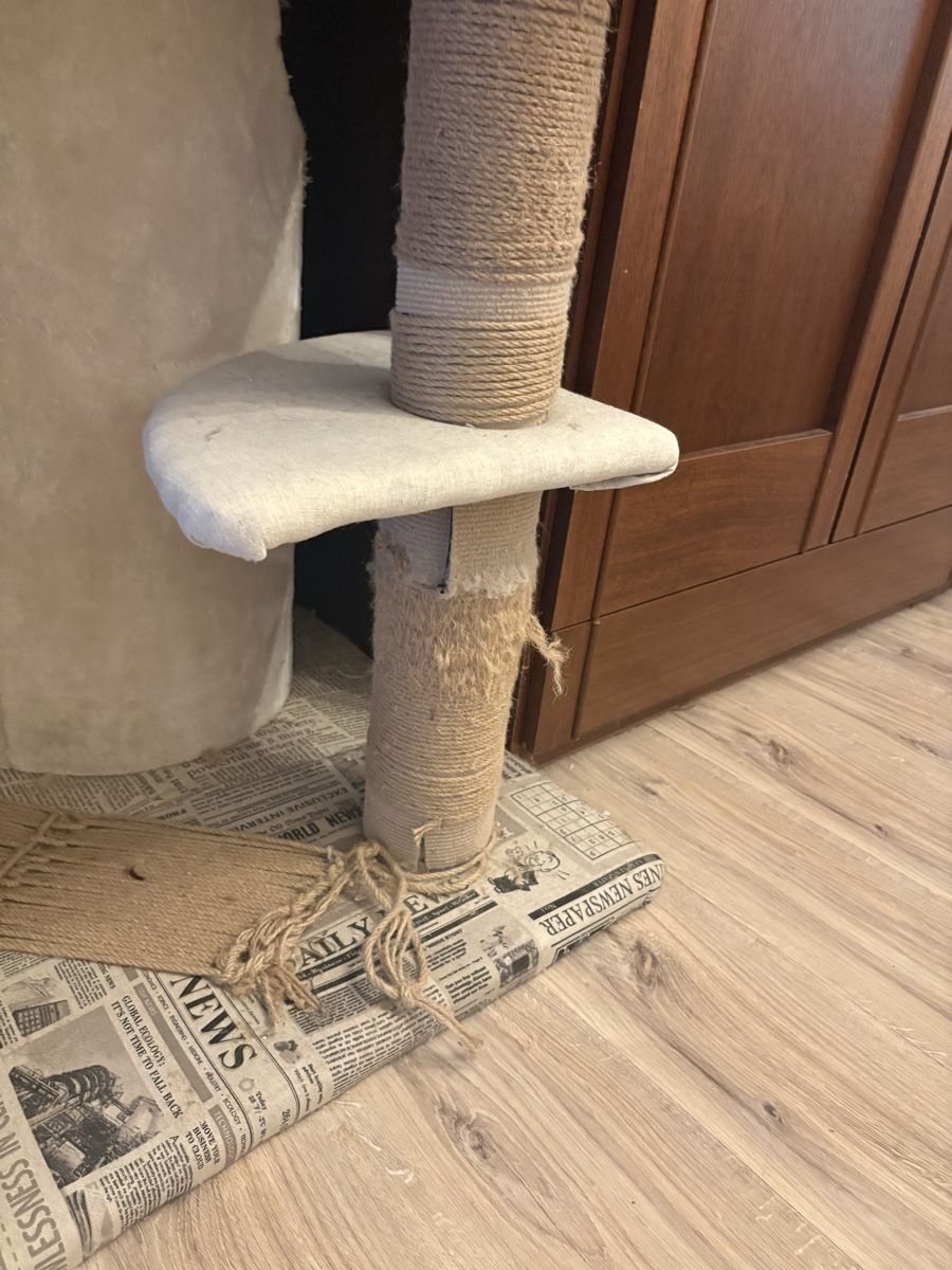 Tiragraffi: Massiver Maine-Coon Katzenbaum – Usato da Basel venduto da wurmli 2